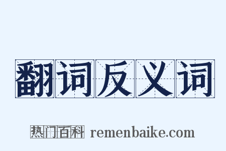 翻词反义词是什么意思的图片